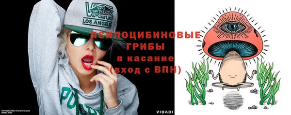 винт Верея