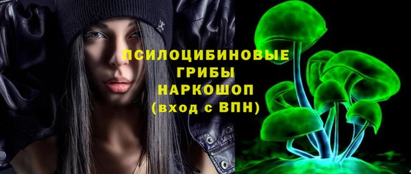 винт Верея