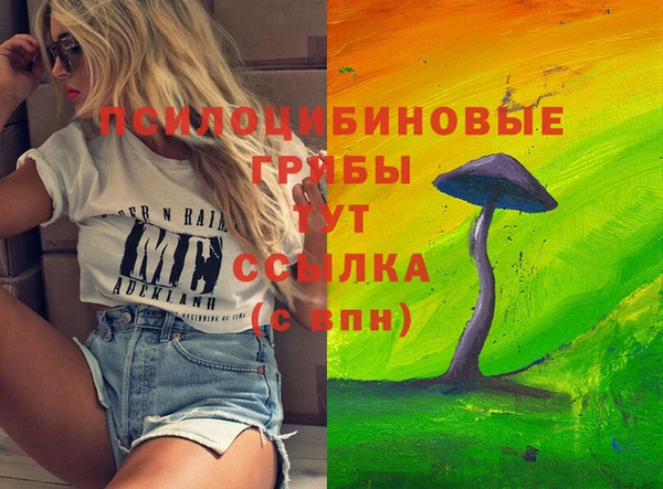 винт Верея