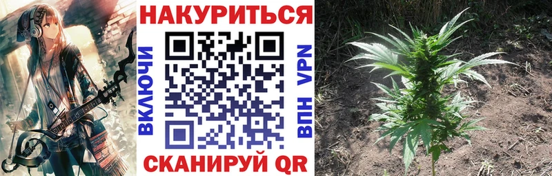 наркота  Новая Усмань  Марихуана семена 